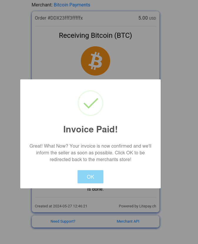 Invoice Paid confirmation message with a button to return to the merchant's store