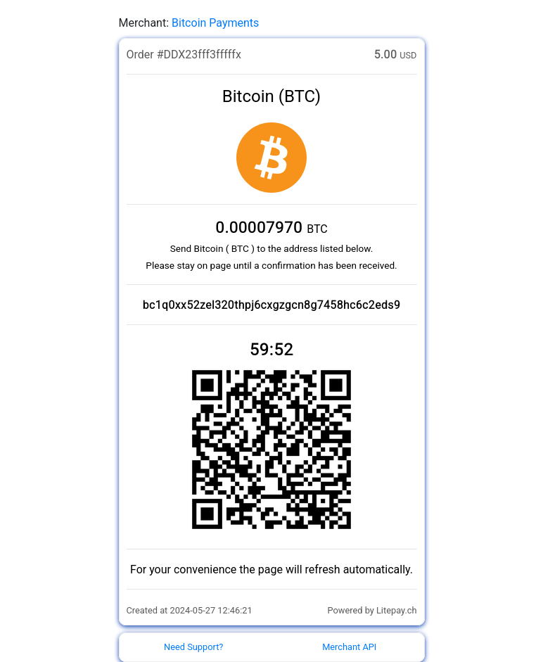 Litepay invoice payment screen with QR code and countdown timer